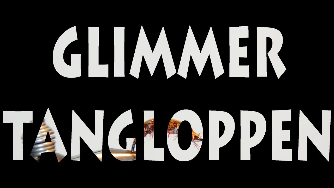 GLIMMER TANGLOPPEN - KYSTFLUE - AFISKERI.DK