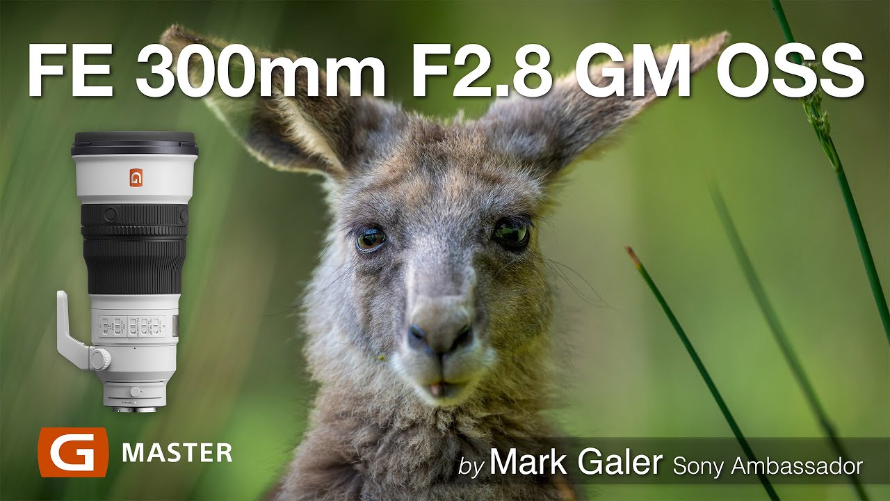 Объектив Sony FE 300mm F2.8 GM: НА ВЫЕЗДЕ