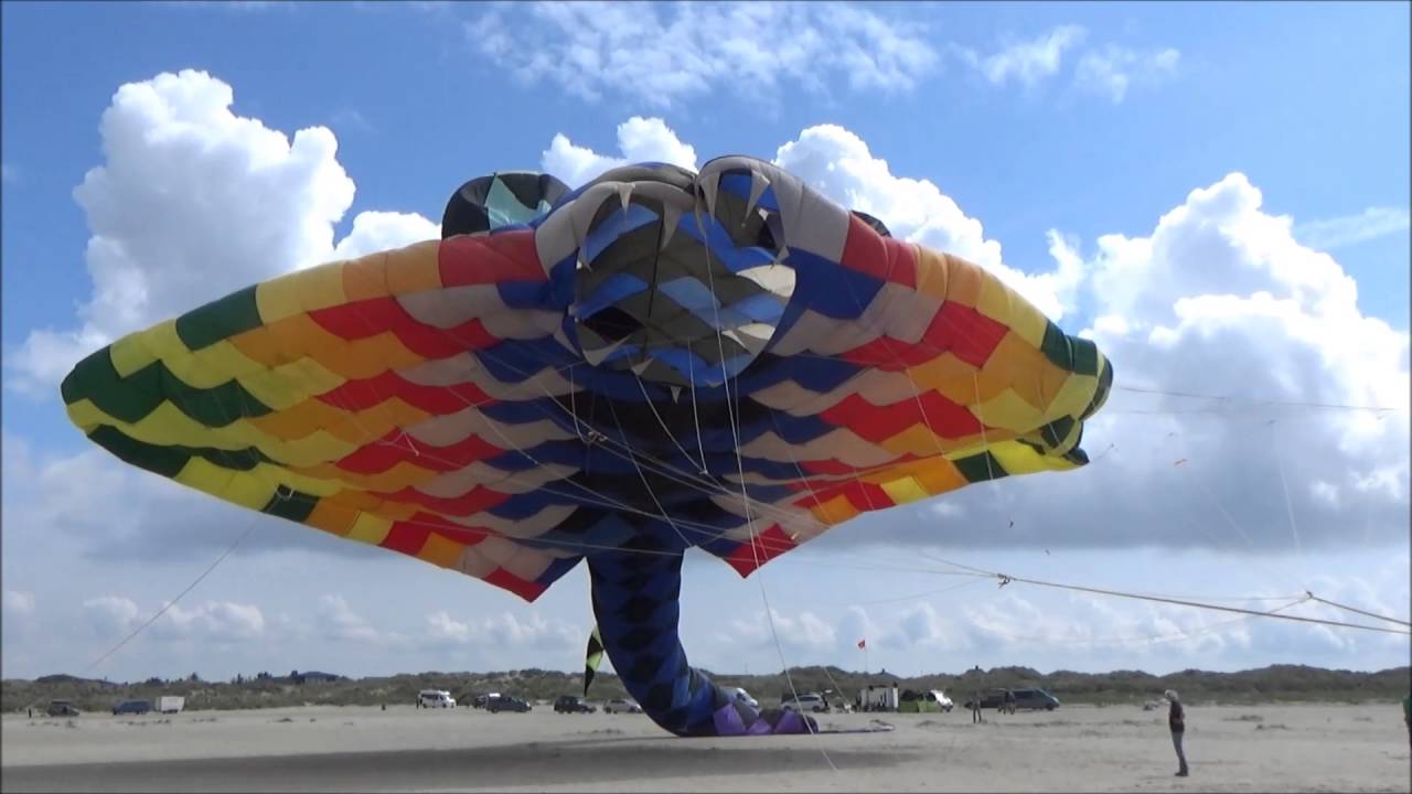 Fanö Manta Fisch  15.06.2016