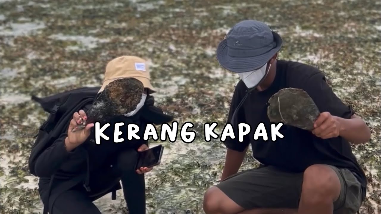Mencari Teripang, kerang, siput, ikan, kepiting, bintang laut, dan bulu babi