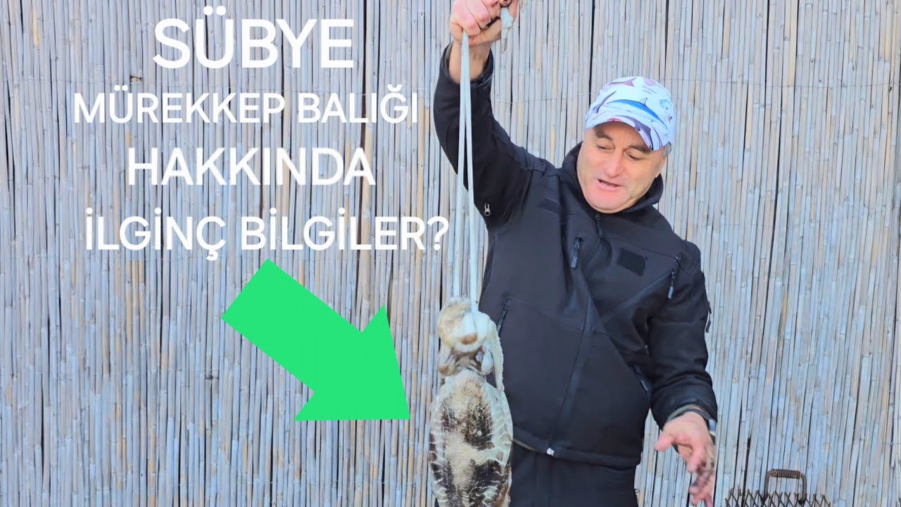 В чём заключаются интересные особенности Cutty/Squid?