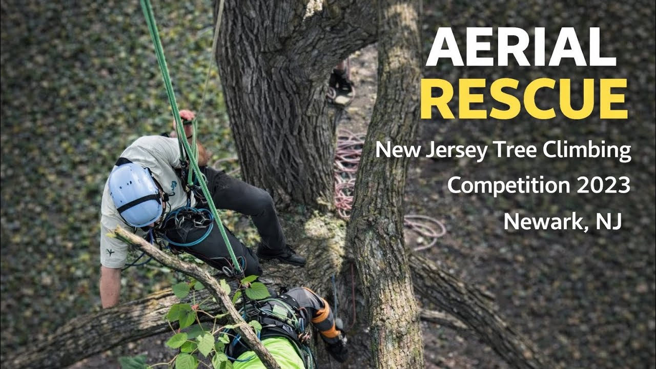 Aerial Rescue | New Jersey Tree Climbing Competition 2023 (Newark, NJ)