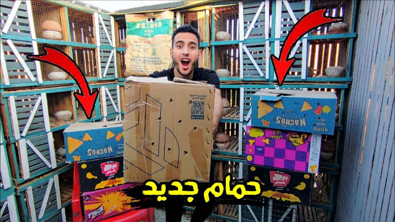 اشتريت حمام كتير ،😃 جبت 7 كراتين ملينين حمام(يلا نفتحهم ونتفرج)
