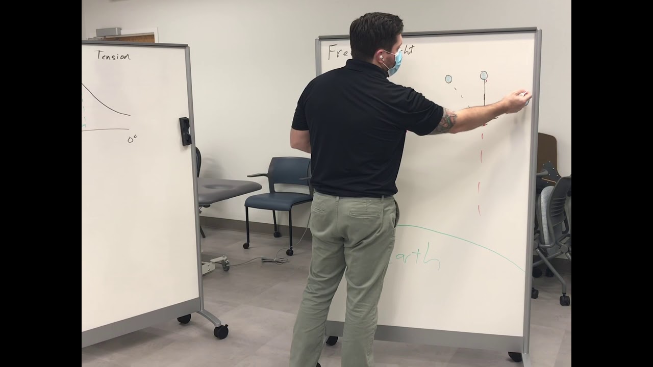 Lab discussion items - length-tension and MOMENT arms...