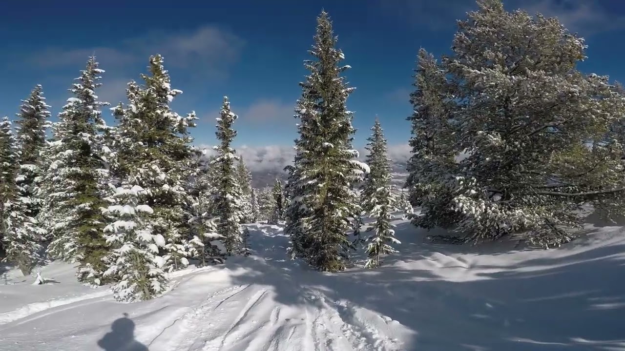 Aspen/Snowmass Mt Burnt Glade on Feb 14th 2026