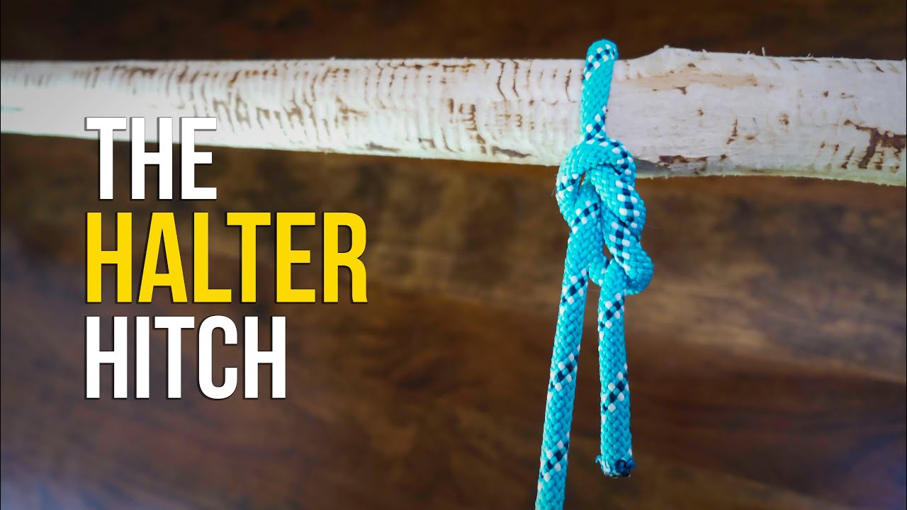 How to tie a HALTER HITCH in 60 SECONDS!! | How to Tie a Hitch Knot