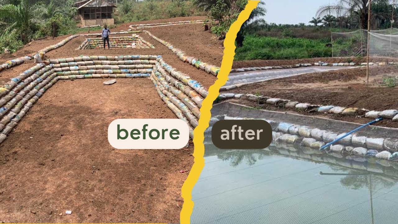 Earthen Pond in DRY Land: 12,000 Capacity earthen pond #construction #farming