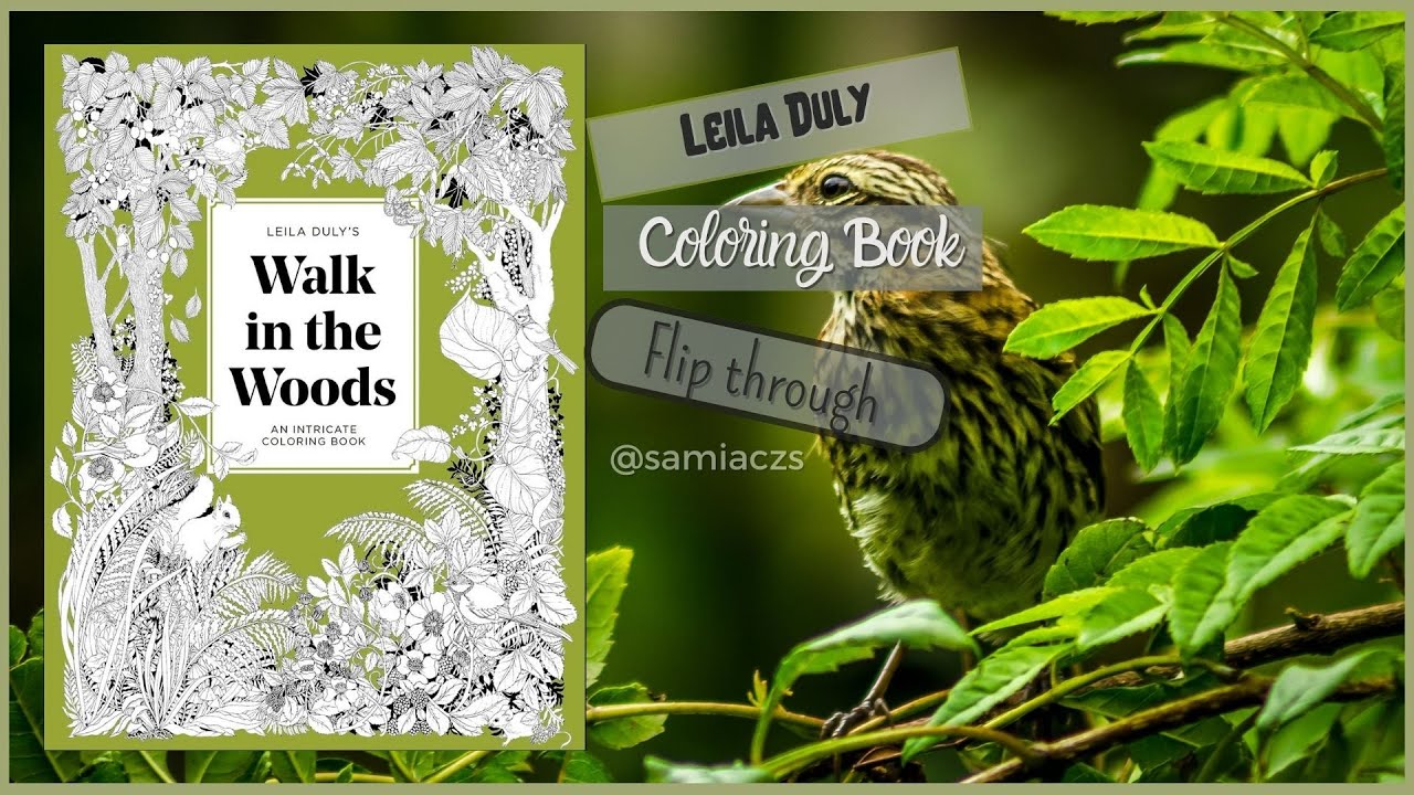 CAMINHADA NA FLORESTA - WALK IN THE WOODS - LEILA DULY - Review e Flip Through