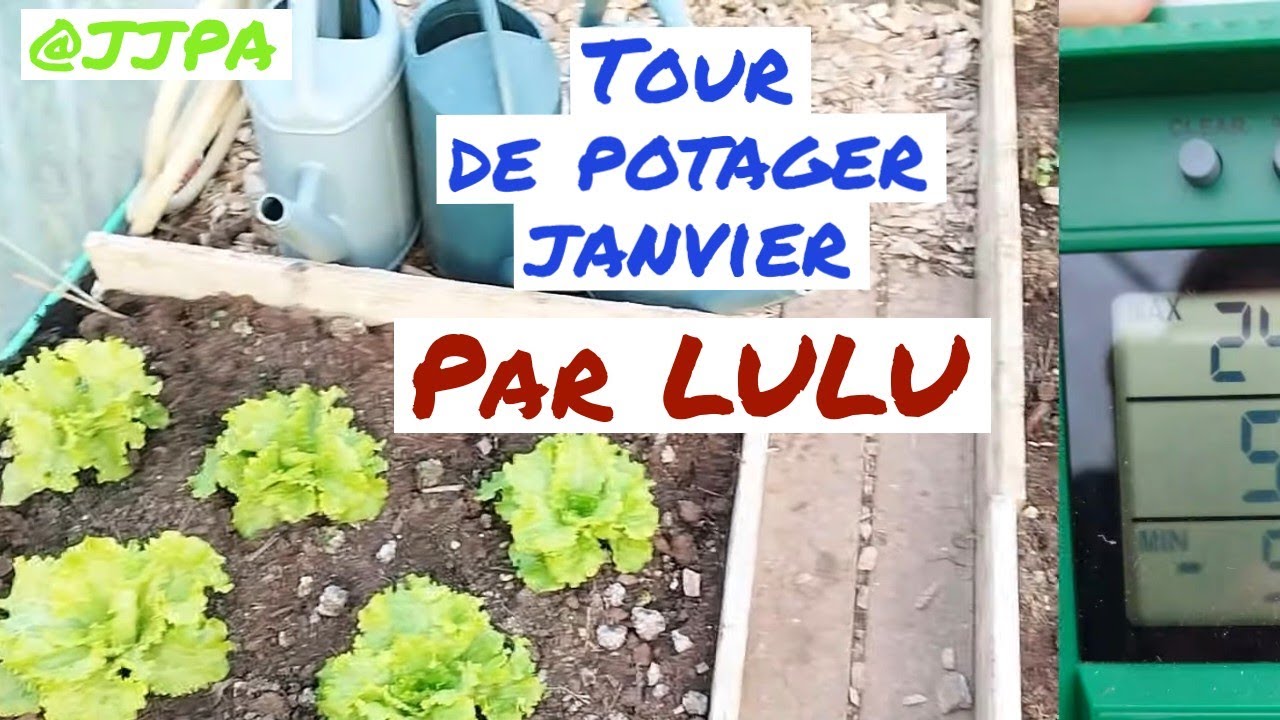 Tour du potager en Janvier par Lulu 🥰🥰