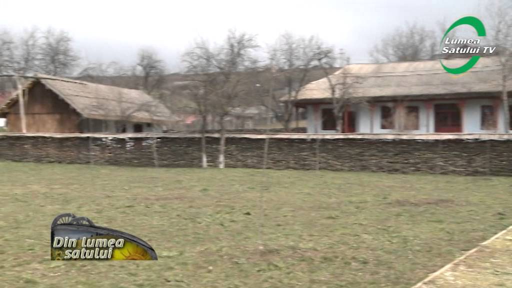 Pădureni, comuna model din judeţul Vaslui - partea II