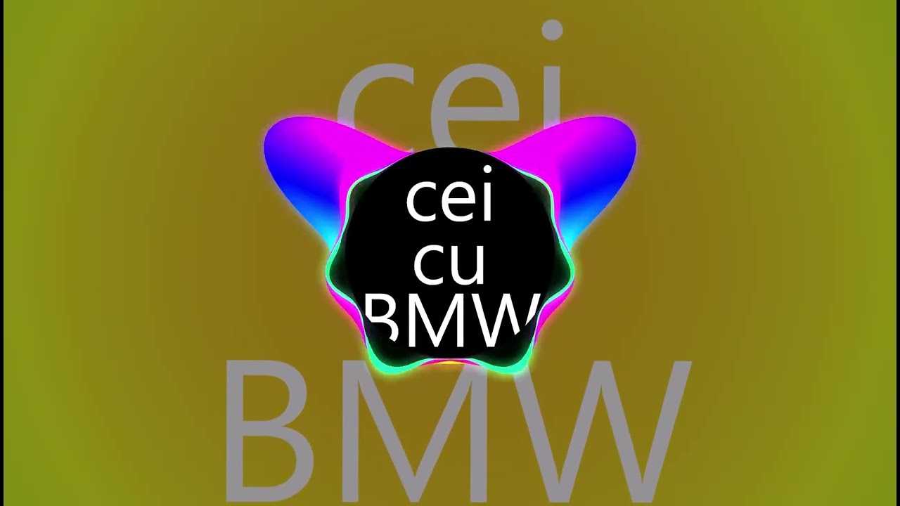 Cei Care Detin Bmw