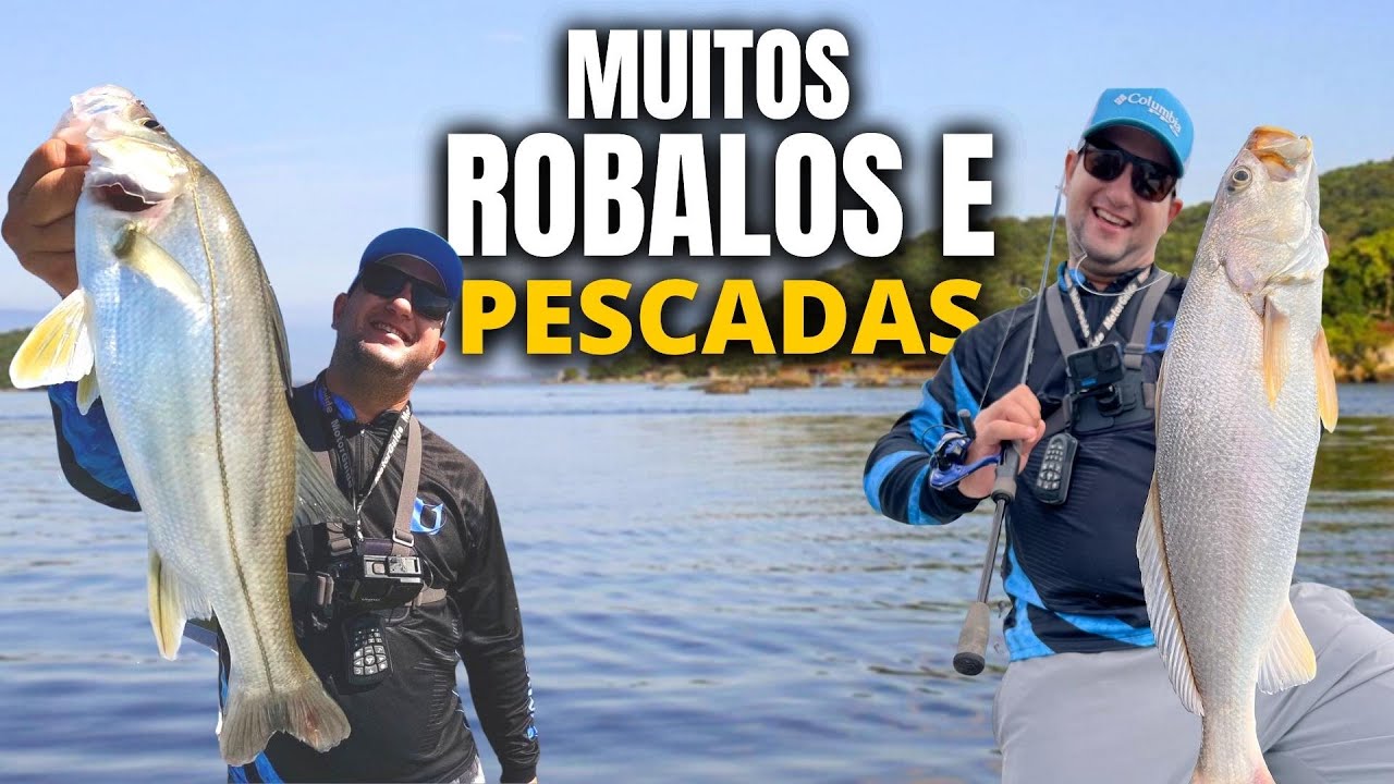 Muitos ROBALOS e PESCADAS na lua crescente 🌙 - Pesca com camarão artificial-Dicas