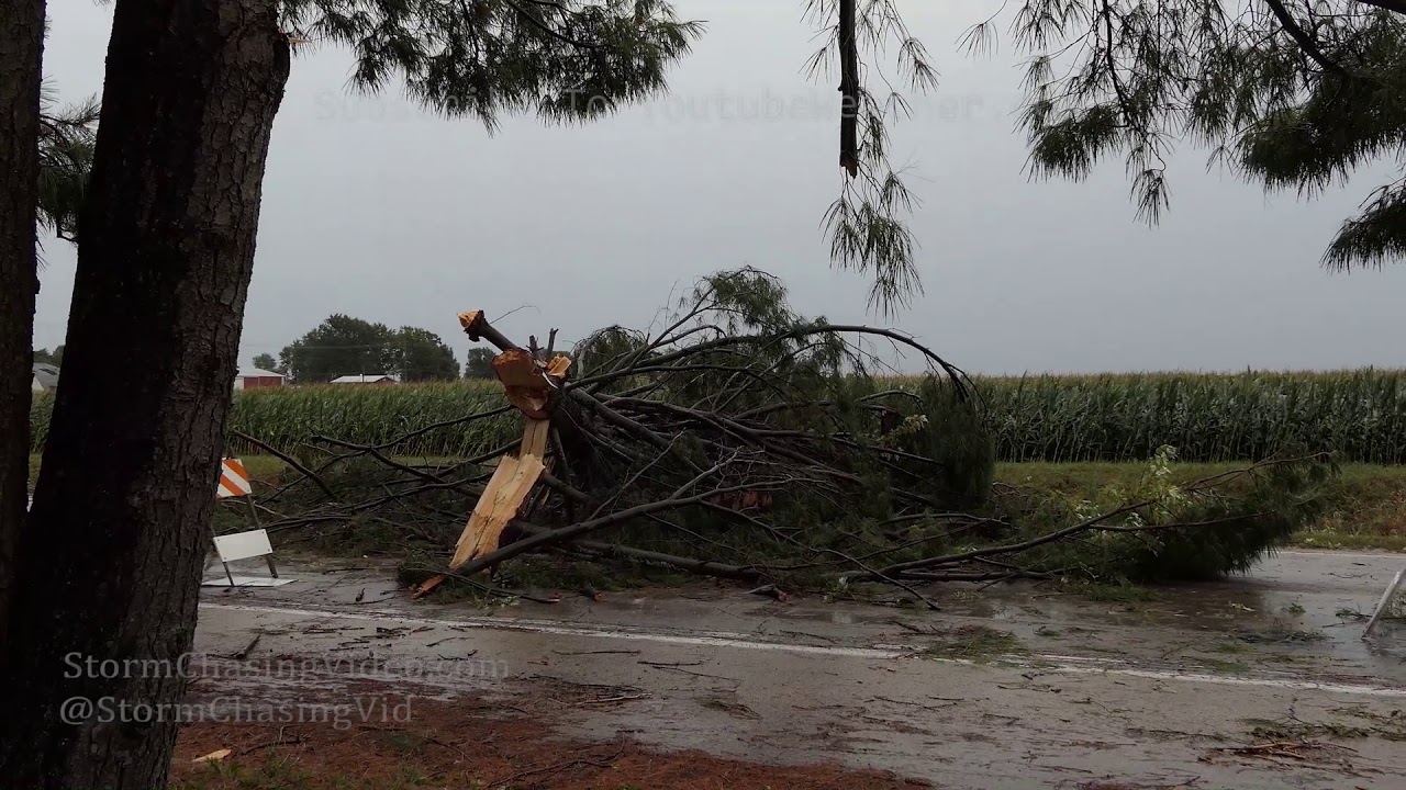Central Illinois Severe Thunderstorms and Damage - 8/20/2019