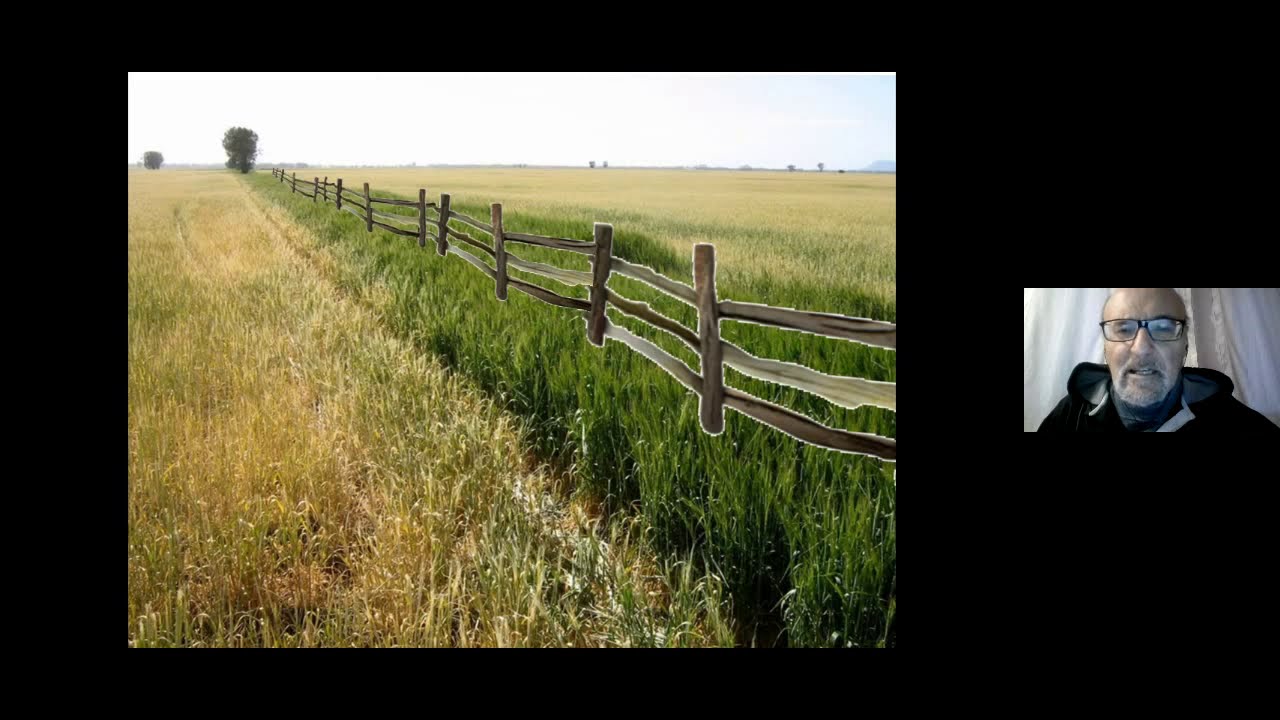 Mettiamo la testa nel terreno: microbiologia del suolo e pratiche agronomiche