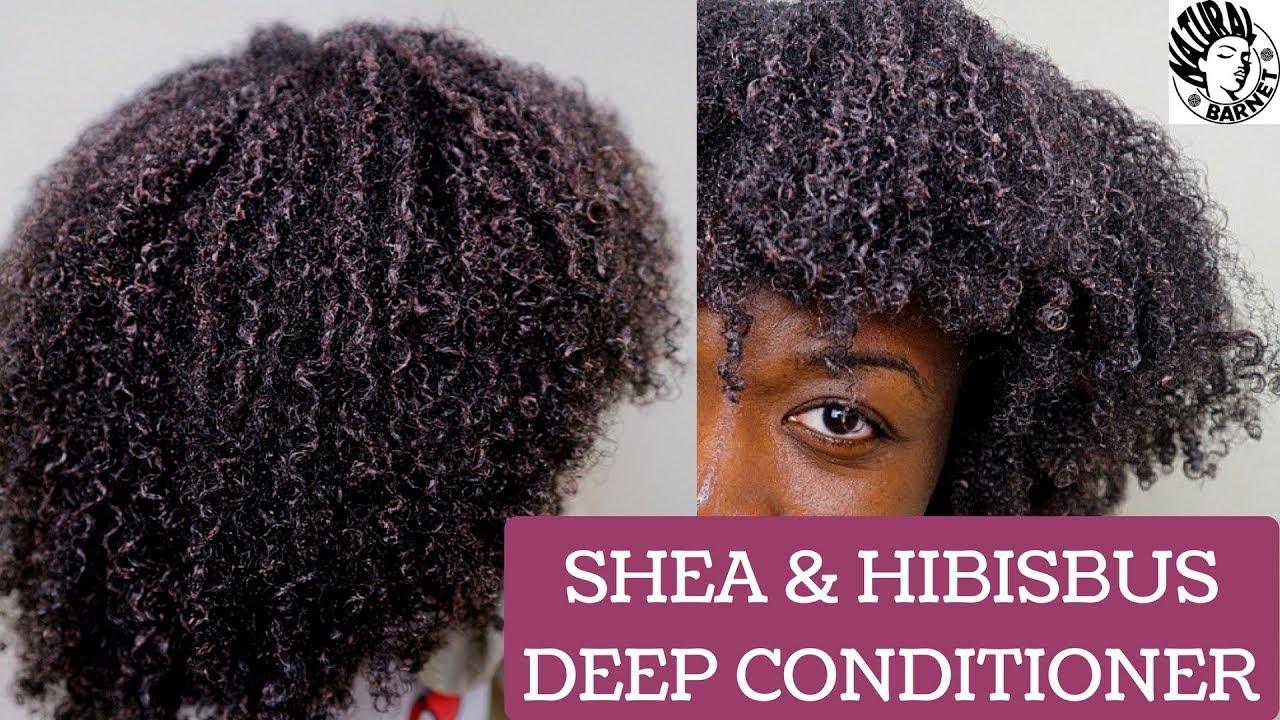 Shea & Hibiscus Deep Conditioner | INTENSE Moisture for Dry, Damaged Natural Hair