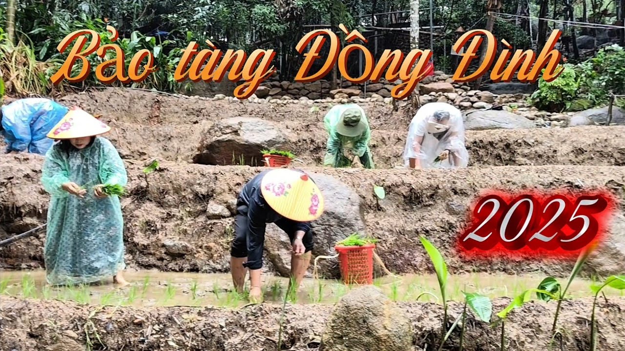 Tuần lễ trà Việt 2025 tại Bảo tàng Đồng Đinh - Sơn Trà - TP Đà Nẵng | Tạp chí Việt Nam hương sắc 