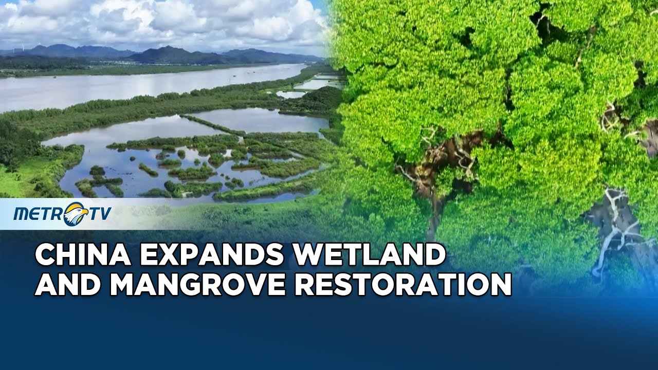 Wetland Protection in China Reaches New Milestones