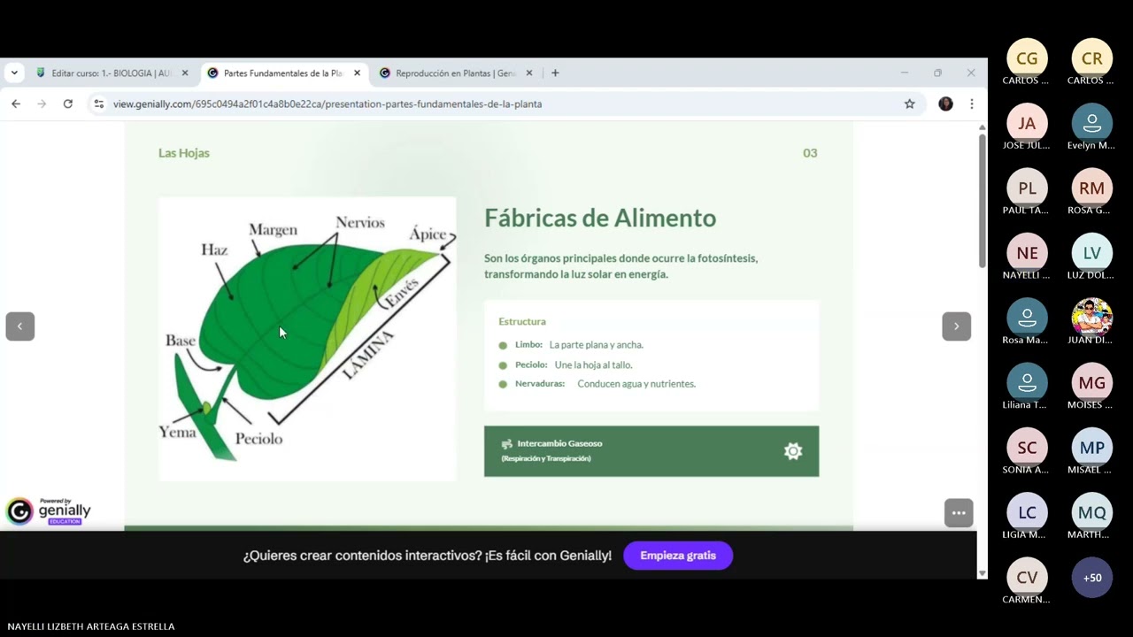 UNIDAD 4 TEMA: ESTRUCTURA Y REPRODUCCIÓN DE LAS PLANTAS
