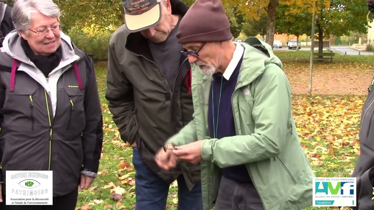 AVF Fondettes : à la découverte des champignons