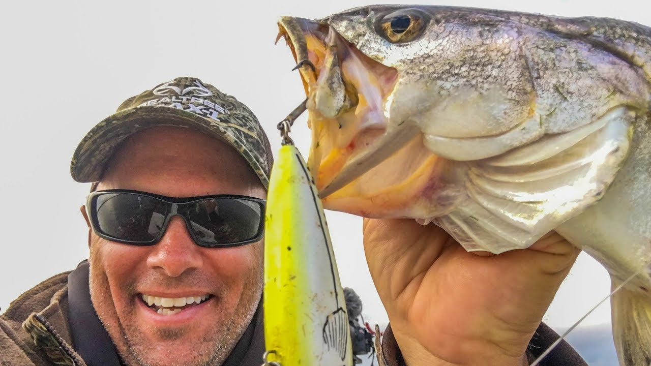 More topwater trophy trout in entirely NEW area