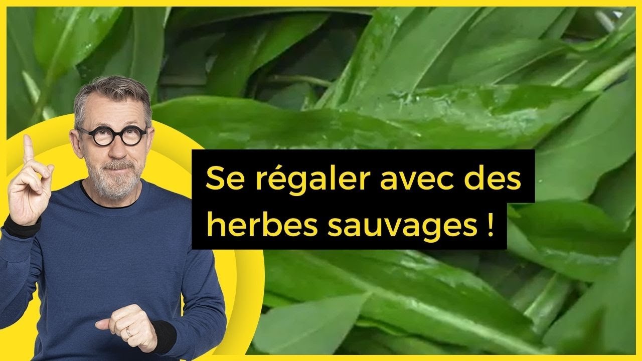 Se régaler avec des herbes sauvages !  - C Jamy