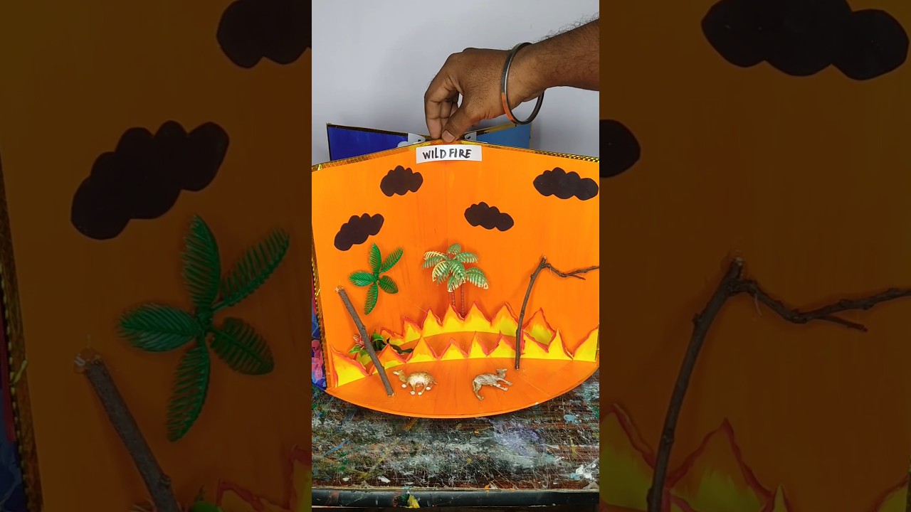 Natural disaster Project | Science project  #schoolproject #science #shorts