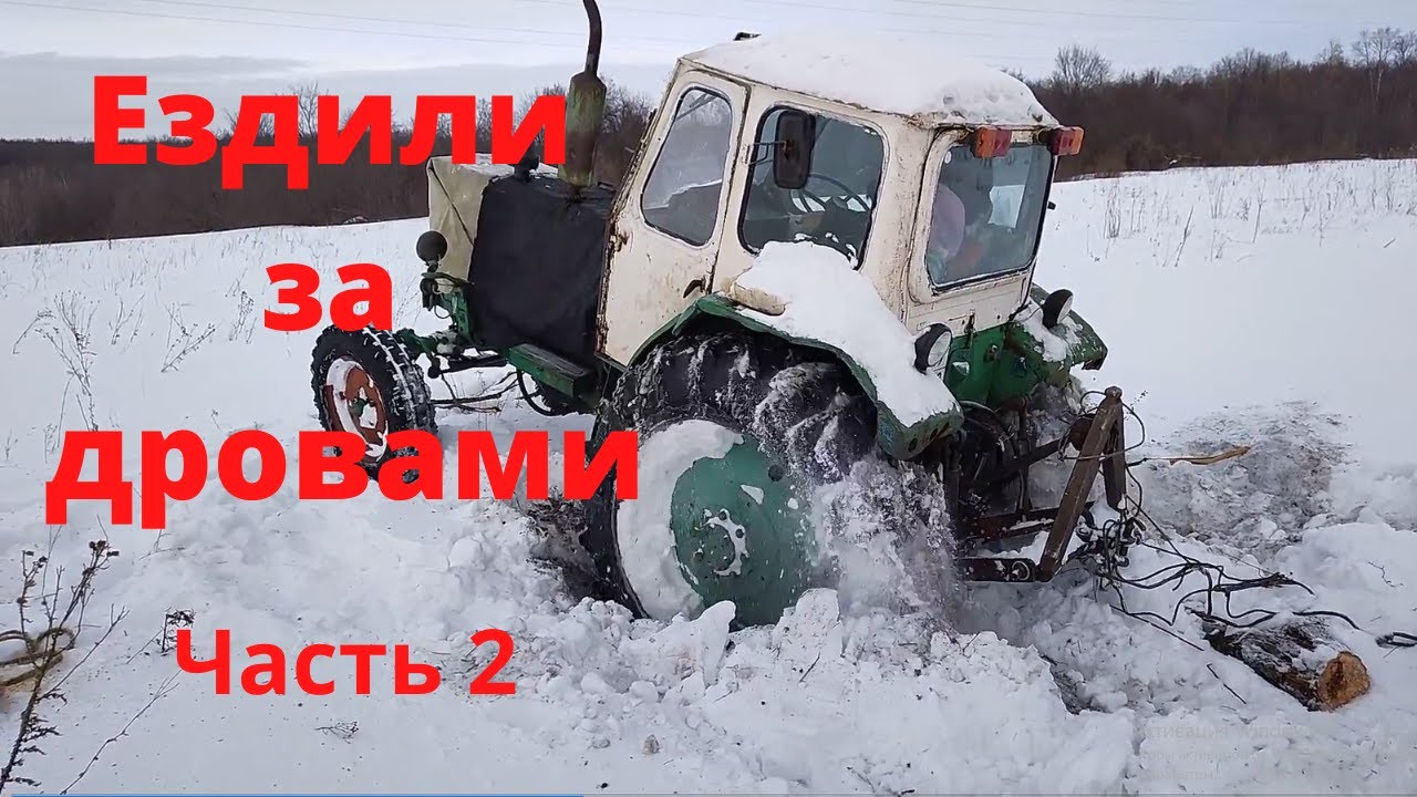 Трактор ЮМЗ.Трелёвка леса.Зимой едем за дровами.Часть2.
