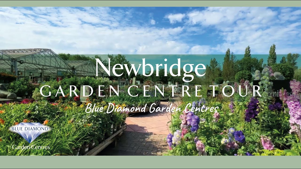 Newbridge Garden Centre - Blue Diamond - Tour