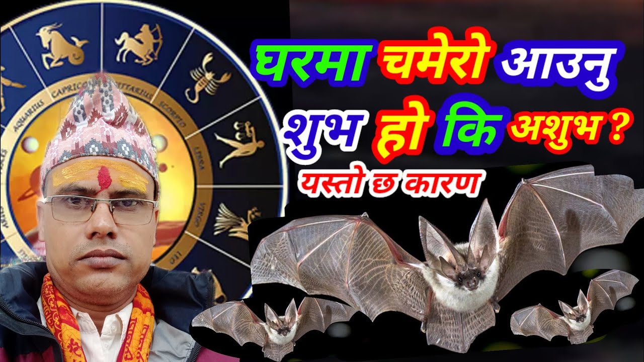 घरमा चमेरो आउनु शुभ हो कि अशुभ ? Gharama Chamero Aaunu Shubh Ho Ki Ashubh ? Taranath Bhandari