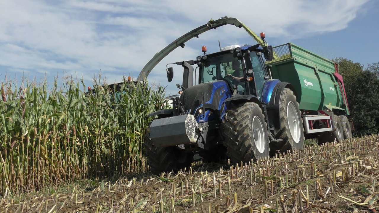 Mais 2020 | Häckseln XXL | Biogas | 5 Steyr | Claas Jaguar 970 | LU Deutschbauer | Sound
