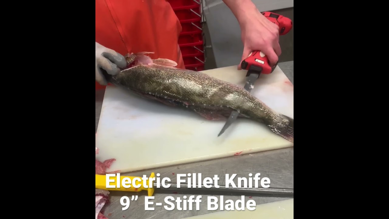 Processing Jumbo Pickerel ( Walleye ) With An Electric Fillet Knife ( Bubba Blade )