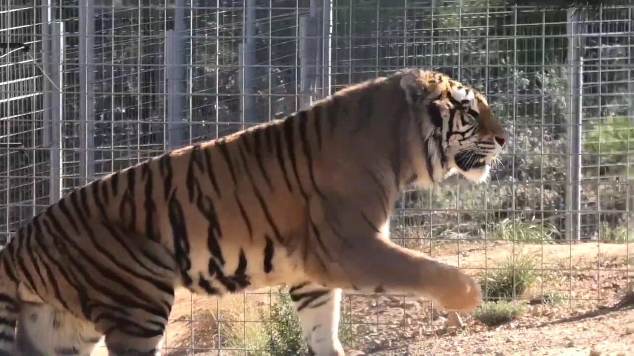 Aqua sale por primera vez a instalaciones exteriores - AAP Primadomus