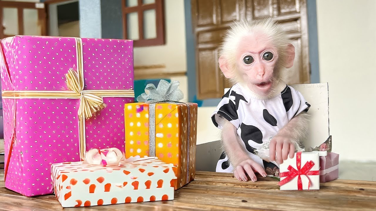 Monkey Poor received lots of gifts from Hong!