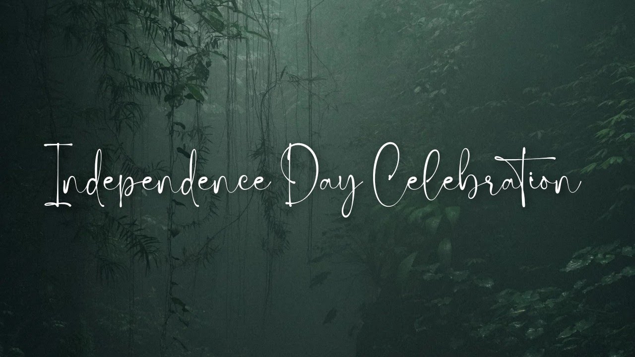 Independence day dance and song| 15th August Celebration in school| Camford Public school