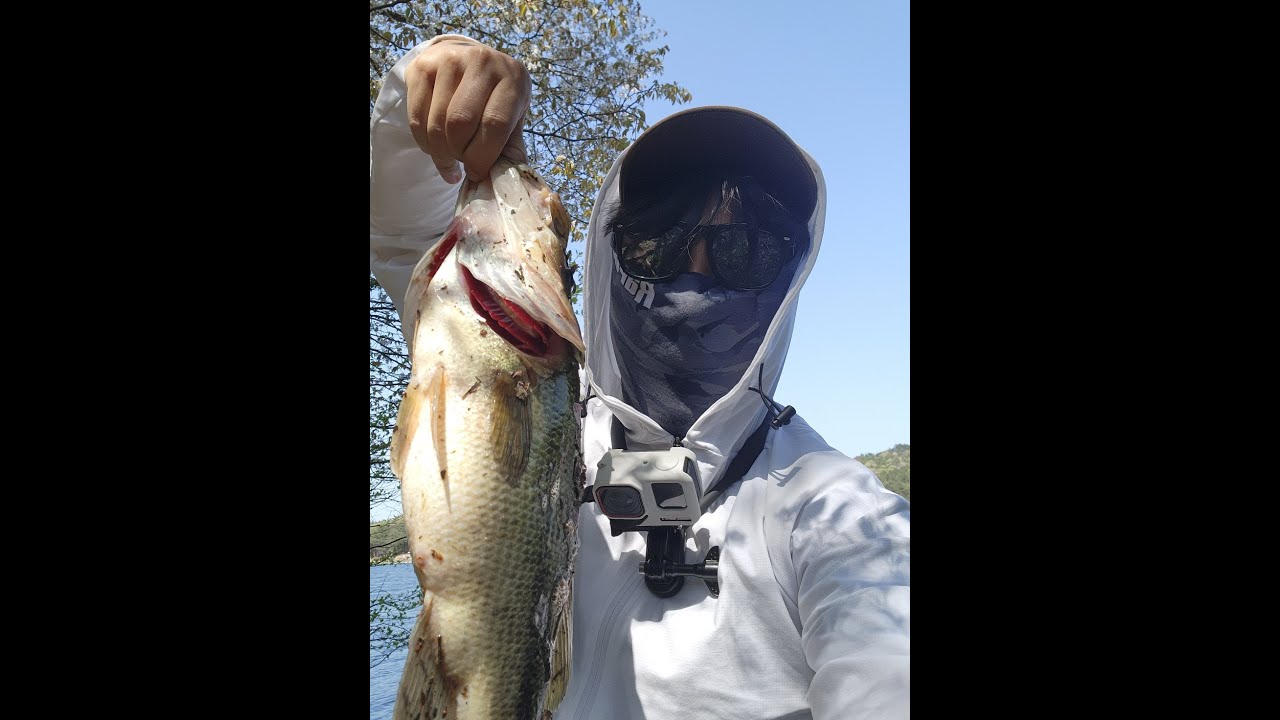 🎣알자리 배스 제대로 잡는 꿀팁 + 나만의 튜닝 채비 소개