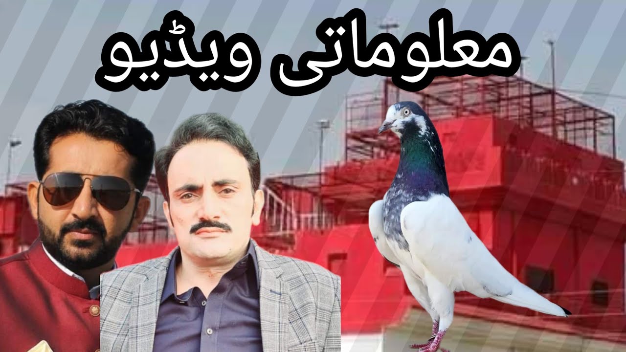 Ustad Mithu Lali Chinyot and Ustad Malik Mubasher Khokhar of lahore pigeons shoq