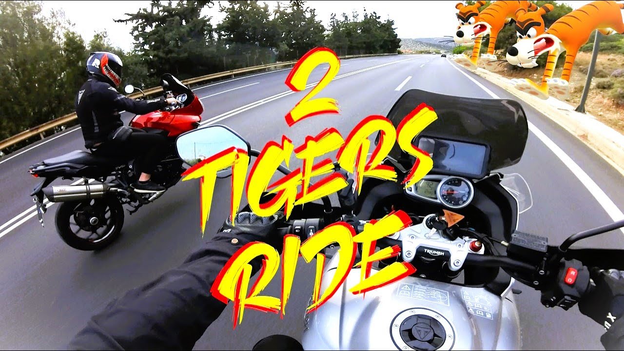 2 TIGERS στην παραλιακή!! Σείστηκε η Γή!! Motovlog #15