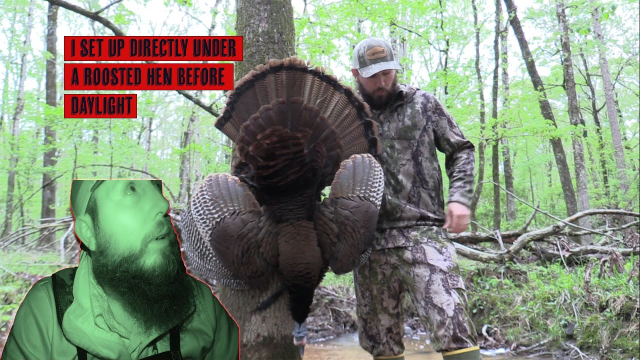 HARD Gobbling AR Turkey on Opening Day
