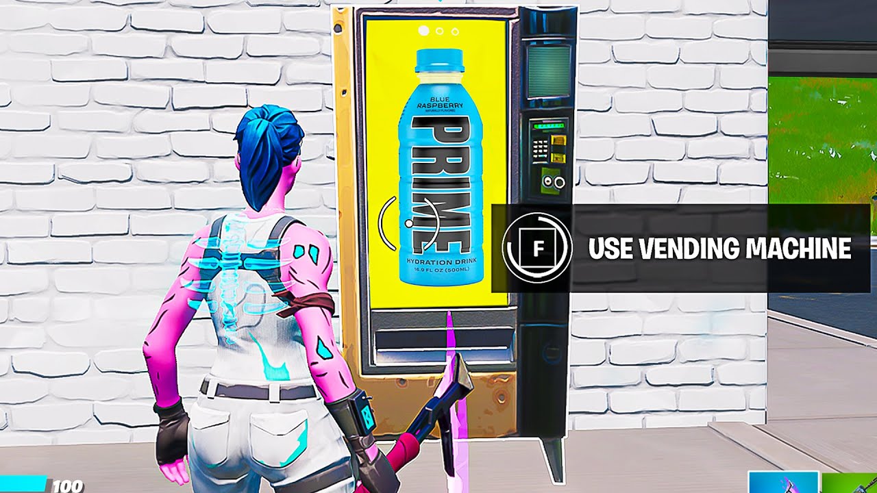 I Busted 250 Myths in Fortnite!