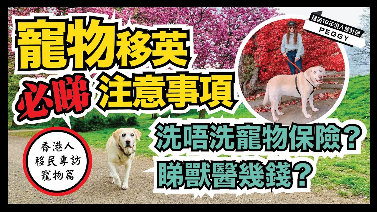 【貓狗在英秘笈】詳細介紹英國養寵物資訊 | 12年在英毛孩家長｜香港人移民資訊BB班