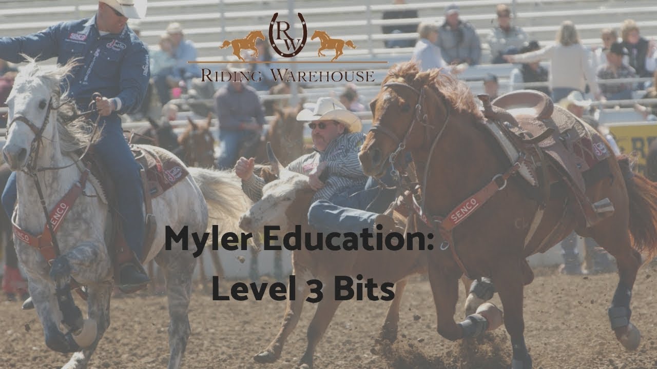 Myler Education: Level 3 Bits