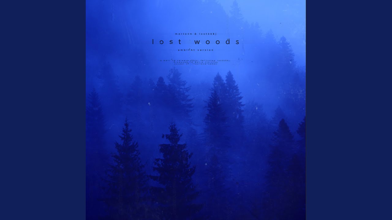 lost woods (feat. Lxstkkkj) (ambient ver.)