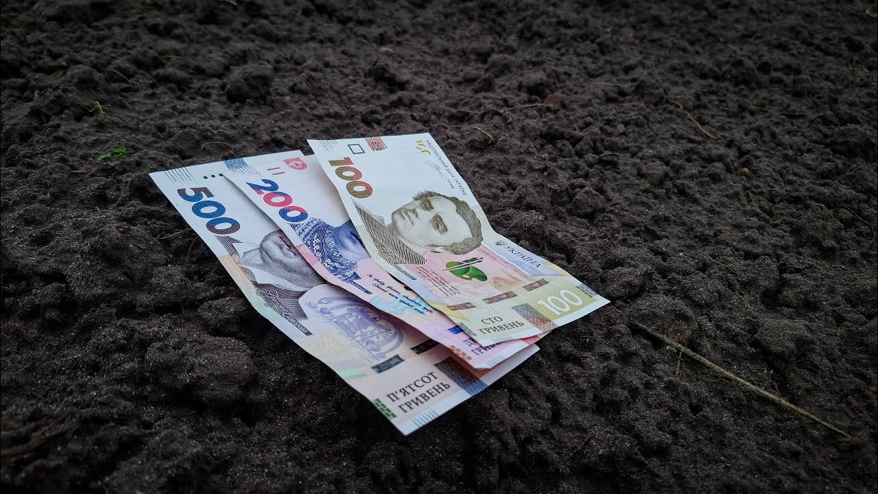 Що посадити на 5 сотках,щоб Розбагатіти і підкидувати гроші в повітря?Три культури