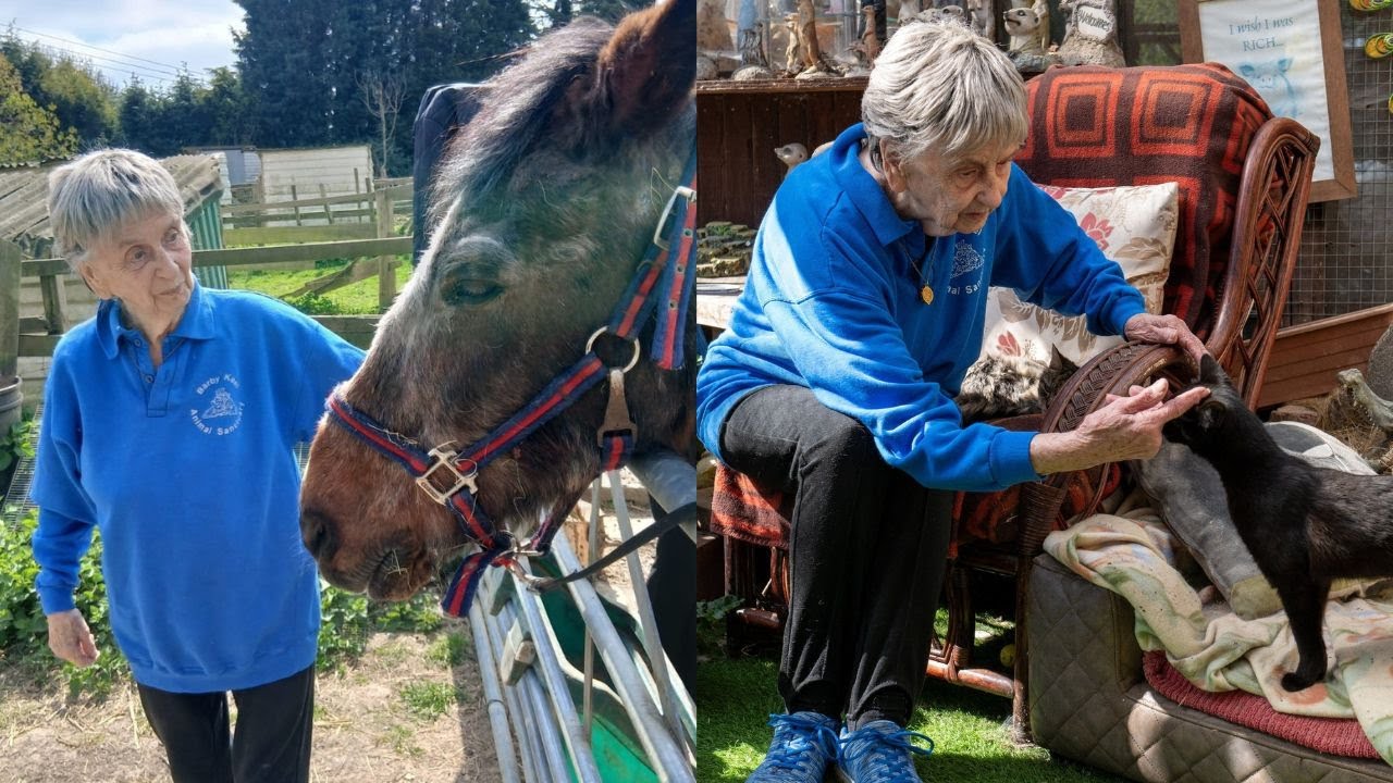90-year-old who has saved over 10,000 animals at sanctuary has no plans to retire | SWNS