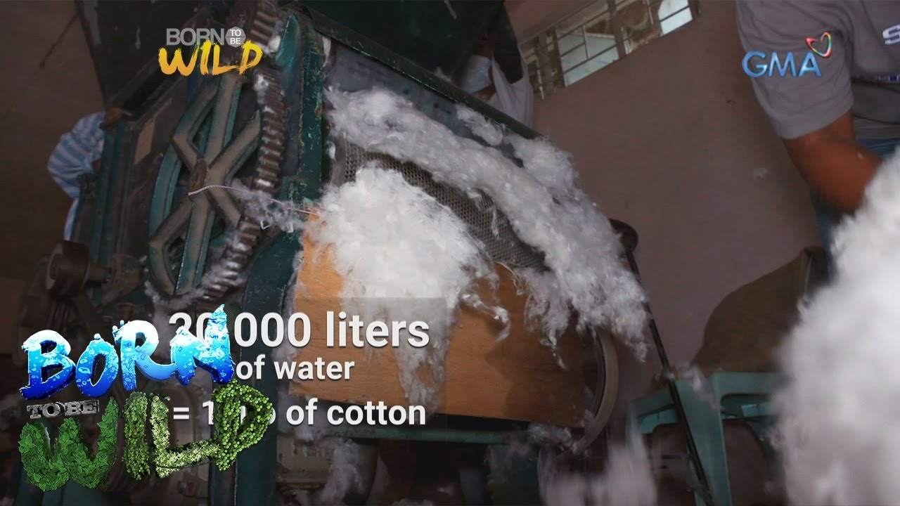 Born to be Wild: The process of making clothes