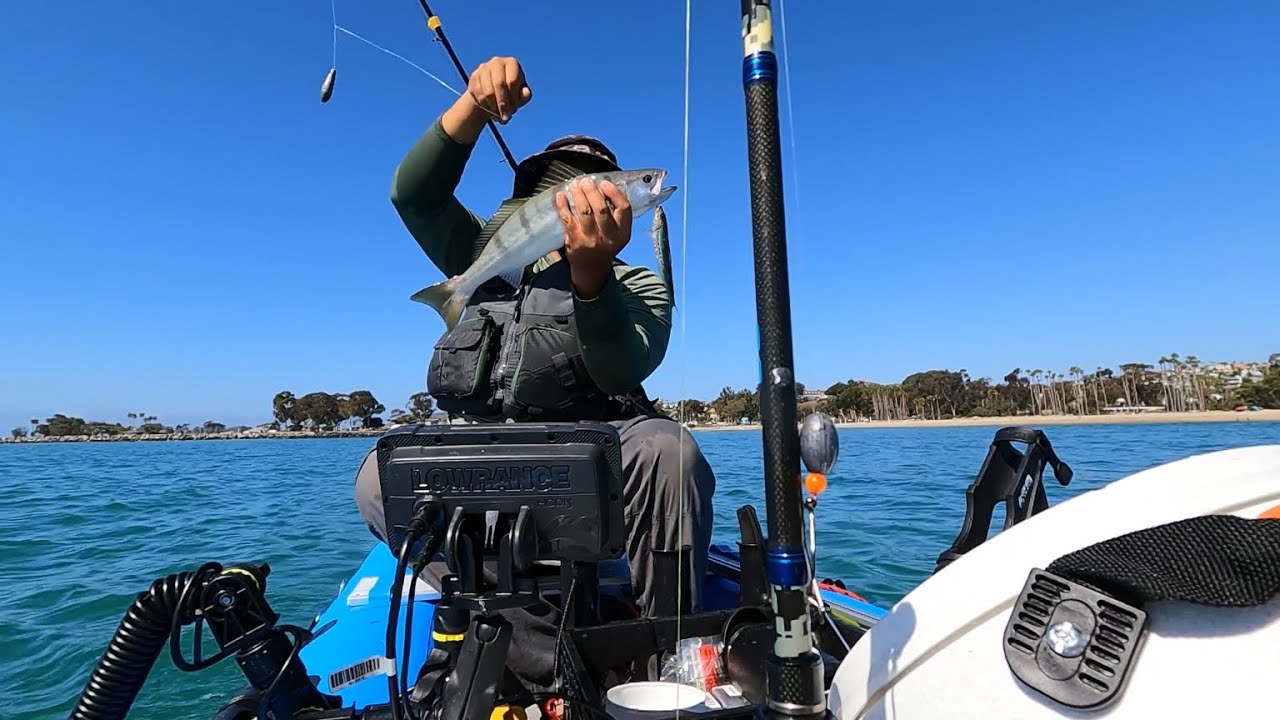 Fall Fishing in Dana Point Harbor on Scout 430 for Halibut (w/ WSB & Calico By-Catch)