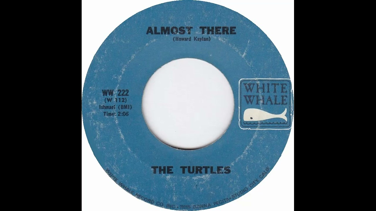(1b) Turtles - Almost There