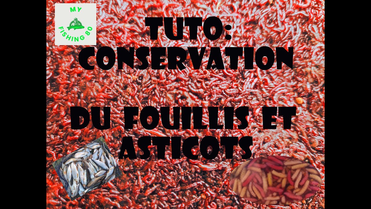 LES SECRETS DE LA CONSERVATION DU FOUILLIS ET ASTICOTS!!!