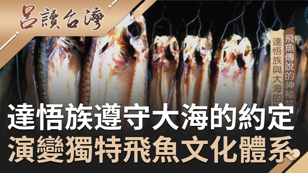 揭飛魚的