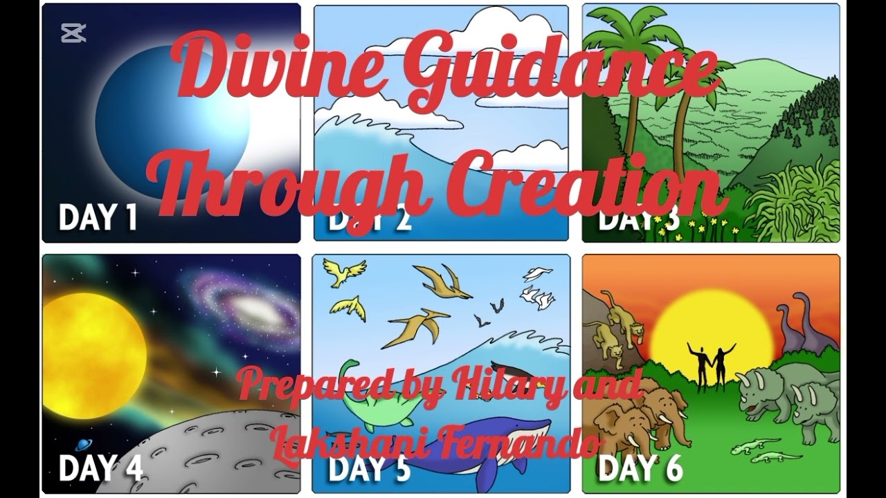 Divine Guidance Through Creation 